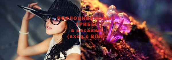 эйфоретик Богородицк