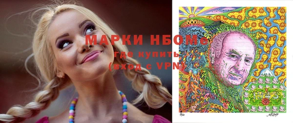 прущие грибы Белоозёрский